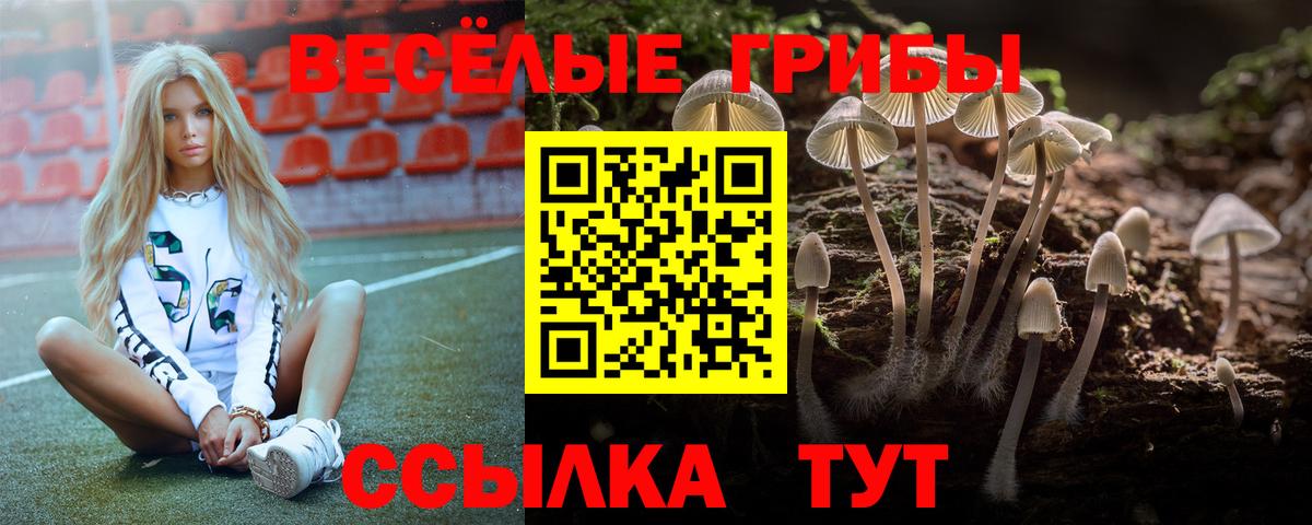 Псилоцибиновые грибы Psilocybine cubensis  Псилоцибиновые грибы мухоморы  Вход с VPN  Обнинск 