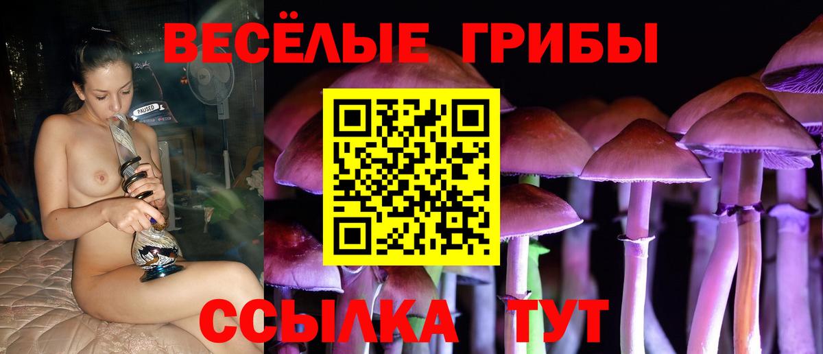 Псилоцибиновые грибы мухоморы Обнинск