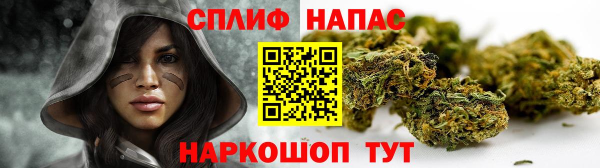 Канабис планчик Обнинск